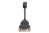 Display Kabel - HP DisplayPort für DVI-D-kabel - FH973AA