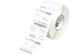 Papier, Fotopapier und Etiketten - Zebra Z Trans 5P - mat permanent selvklæ - 880026-038