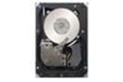 Festplatten - IBM 1TB 2.5IN SFF HS 7.2K 6GBPS - 1TB - Festplatten - 81Y9730 - SATA-600 - 2.5" - 81Y9730