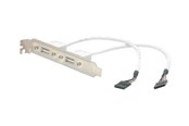 Stromkabel (Intern) - StarTech.com 2 Port USB A Female Low Pro - USBPLATELP
