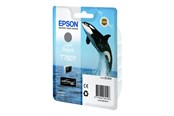 Druckerzubehör - Tinte & Toner - Epson T7607 - Light Black Ink - C13T76074010