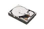 Festplatten - IBM - 1TB - Festplatten - 81Y9691 - SAS2 - 2.5" - 81Y9691