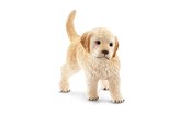 Schleich - Schleich Golden Retriever puppy - 16396