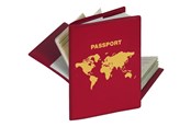 Kamerataschen - HERMA RFID Protector for Passport - 5549 N