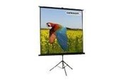 Projektor Leinwände - Celexon Economy tripod screen - 1090016