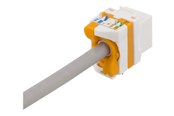 Netzwerkzubehör - Deltaco MD-123 Cat6A Keystone jack toolless plastic white/orange - MD-123