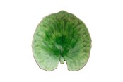 Tischgedeck - Costa Nova Riviera Plate 18 cm - 22704