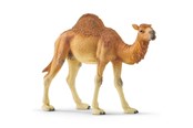 Schleich - Schleich Wild Life Dromedary - 14832