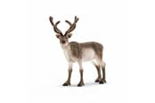 Schleich - Schleich Reindeer - 14837