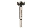 Bohrer & Bits - Bosch FORSTNERBOR HM 25MM - 2608597607
