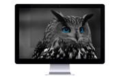 Bildschirm - Natec OWL - NFP-1478
