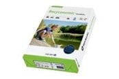 Papier, Fotopapier und Etiketten - Papyrus Recyconomic PureWhite - 88174157
