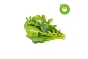 Smart-Home - Click & Grow Smart Garden Refill 9-pack Green Sallad Mix - PPMSAX9