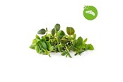 Smart-Home - Click & Grow Smart Garden Refill 9-pack Italian Herbs Mix - PPMIPX9