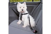 Hunde - Trixie Car Harness Safety Belt S 60-60cm/25 mm Stomach Circum 60-60cm - TX-1290
