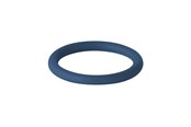 Druckrohre und Armaturen - Geberit Seal ring fkm-blue d22 - 90884