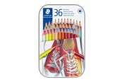 Utensilien zum Schreiben und Zeichnen - Staedtler Coloured pencil hexagonal 36pc - 175 M36