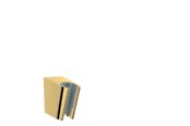 Dusch- und Montagezubehör - Hansgrohe shower holder porter s polished gold-optic - 28331990