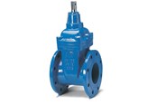 Wasserversorgungsprodukte - Avk Gate valve avk 65mm wirh flanges - 06065308146499