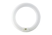 LED-Birnen - Osram Fluoreszierende Glühbirne LUMILUX T9 C 40W 4000K G10q - 1000112163