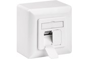 Zubehör (Halterungen, Steckdosen etc.) - Pro CAT 6a universal wall plate inc. on-wall mounting frame - 4040849685729