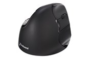 Maus - Evoluent Vertical Mouse 4 - Vertical mouse (Schwarz) - BNEEVR4BB