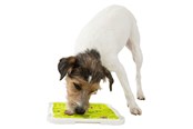 Hunde - Trixie Lick'n'Snack Platte 20x20cm - TX34952