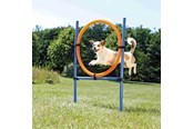 Hunde - Trixie Fun Agility Ring – Verstellbarer Trainingsreifen für Hunde - TX3208