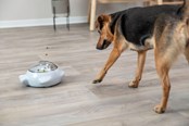Hunde - Trixie Snack Popper - TX32004