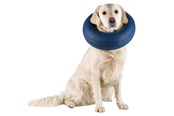 Hunde - Trixie Protective Collar Inflatable L–XL 66-78cm - TX19544