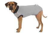 Hunde - Trixie Schutzbody für Hunde Größe: S Rückenlänge: 35cm - TX19533