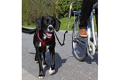 Hunde - Trixie Biker-set L-shaped S–M black - TX1287