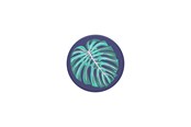 Handys - Anderes Zubehör - PopSockets Vintage Palm Leaf - 801078