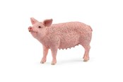 Schleich - Schleich Pig - 13933