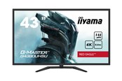 Bildschirm - 43" iiyama G-MASTER Red Eagle G4380UHSU - 3840x2160 (4K) - 144Hz - VA - G4380UHSU-B1