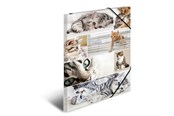 Mappen und Clipboards - HERMA Elasticated folder A3 cardboard cats - 19219