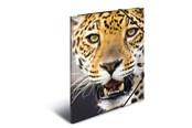 Mappen und Clipboards - HERMA Elasticated folder A4 PP Leopard - 7137