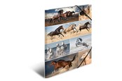 Mappen und Clipboards - HERMA Elasticated folder A3 cardboard horses - 19217