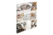 Mappen und Clipboards - HERMA 3-flap folder - for A4 - cats - 19212