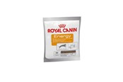 Hunde - Royal Canin Energy Treats for Dog 50g - 3182550784641