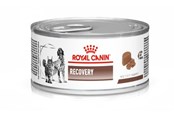 Hunde - Royal Canin Vet Recovery Canine/Feline 195g - 9003579307717