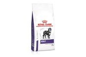 Hunde - Royal Canin Adult Large Dog 13kg - 3182550925105