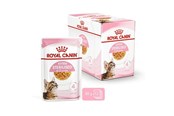 Katzen - Royal Canin Kitten Sterilised Jelly 12 × 85 g - 9003579007167