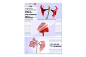 Laminierung - Olympia - 100 pcs. - A6 - lamination film - 9168