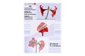Laminierung - Olympia - laminated tape - 100 pcs. - A6 - 9178