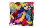 Kunst & Handwerk Ausstattung - Creativ Company Creativ Feathers - 51661