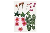 Kunst & Handwerk Ausstattung - Creativ Company Dried Flowers and Leaves Light Red 19 pcs. - 504471