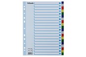 Taschen, Umschläge und Register - Esselte Faneblad PP A4 20-delt flerfarve - 10K217C