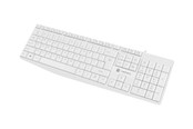Tastaturen - Natec Nautilus - keyboard - QWERTY - US - white - Tastatur - Englisch (US) - Weiss - NKL-1951