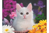 Puzzle - Ravensburger Glitzerkatze - 13358